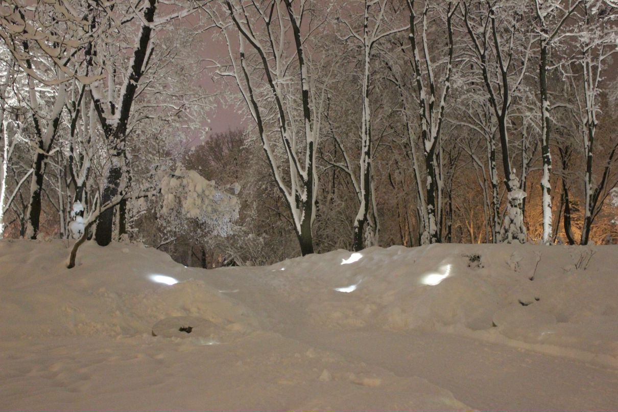 Андрей Лапий | 