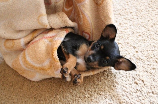 Ирися Воробей | Киев