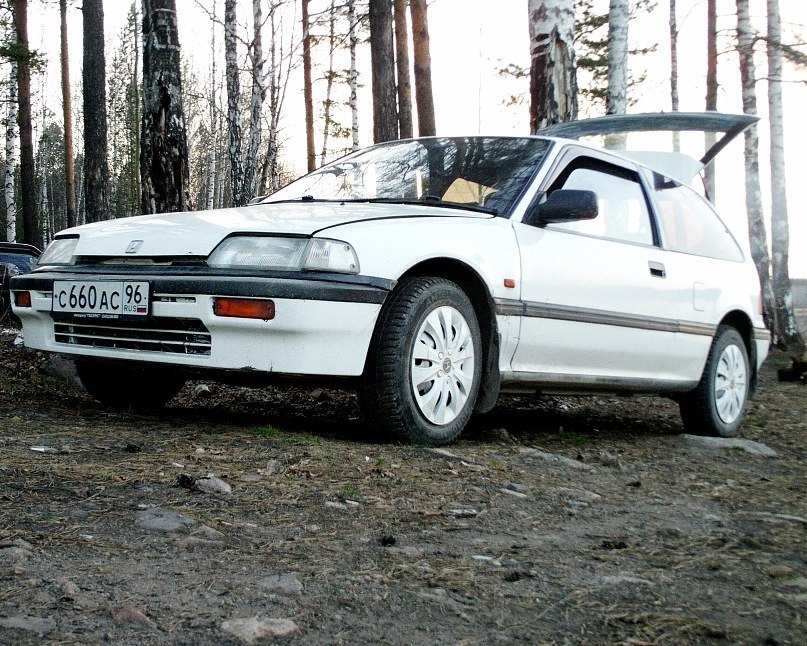 Иван Бердышев | 