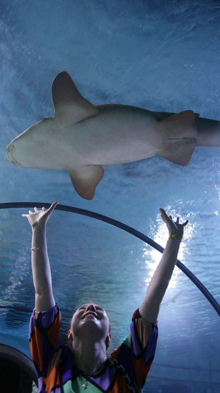 Екатерина Алёшина | Москва