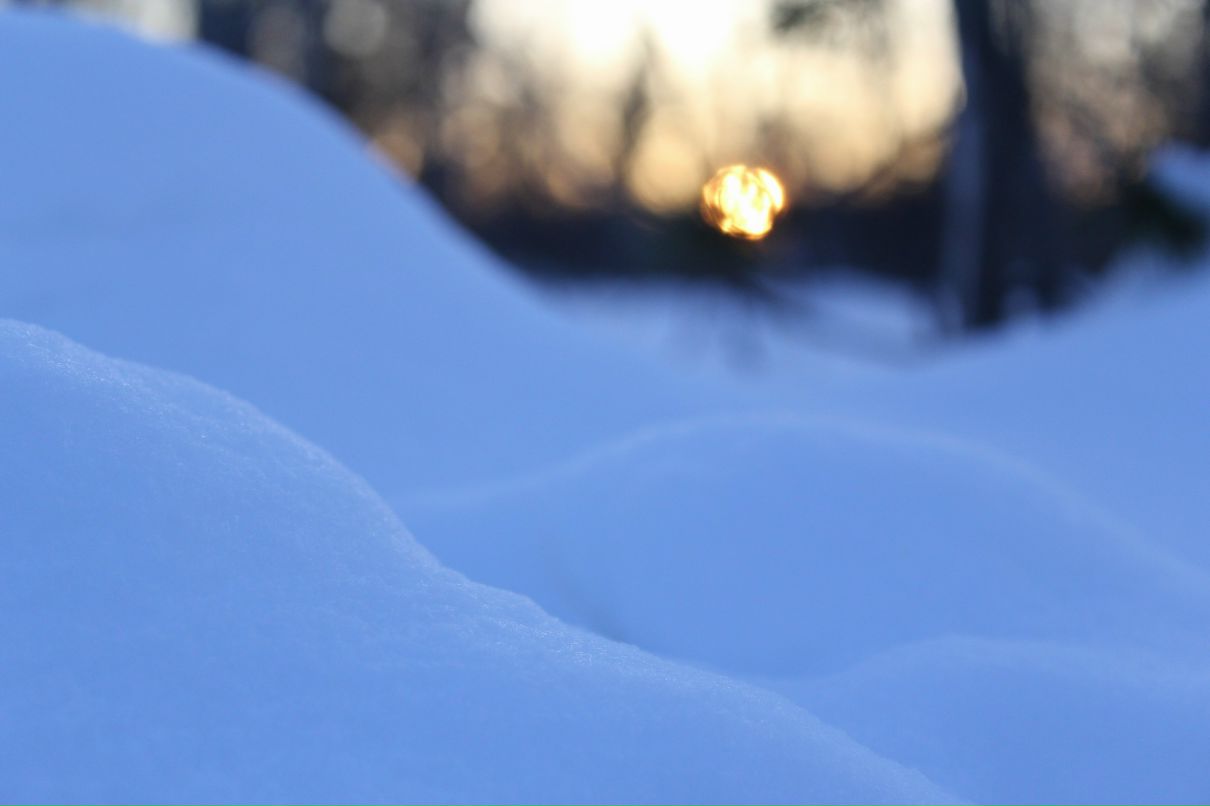Григорий Парамонов | Мурманск