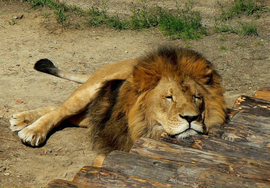 №72, Анна Звонецкая, Киев №72, Анна Звонецкая, Киев