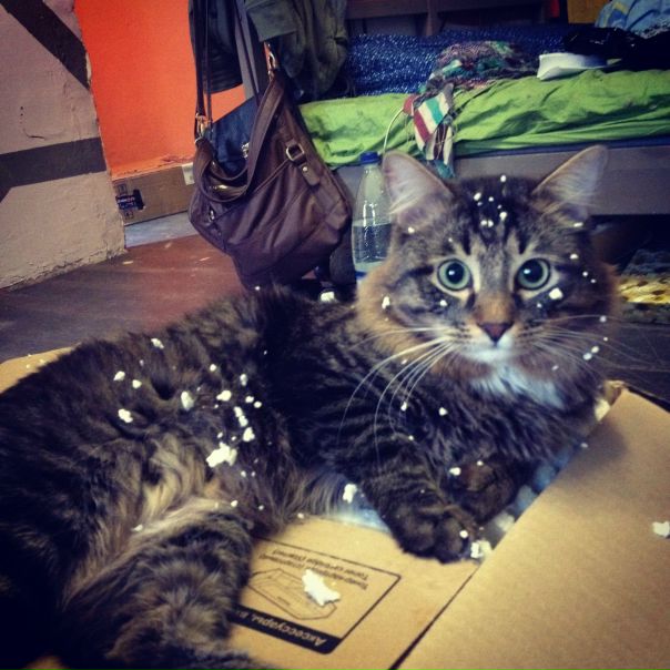 №30, Анна Белова, 35 лет, Москва, Россия №30, Анна Белова, 35 лет, Москва, Россия