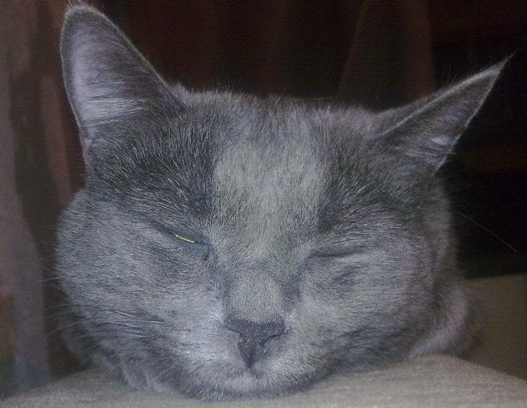 Любовь Попова | Ростов-на-Дону