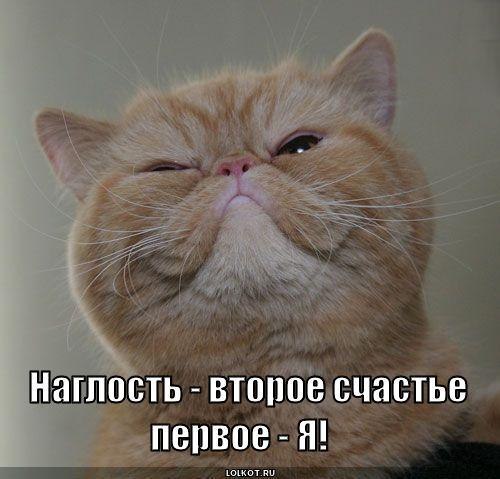 Евгения Кобзева | Красноармейск