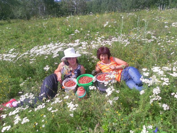 №10, Инсаф Магафуров №10, Инсаф Магафуров