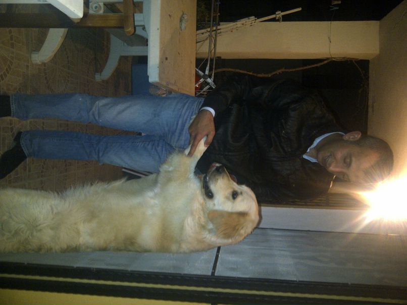 Динчэр Айдын | Bodrum