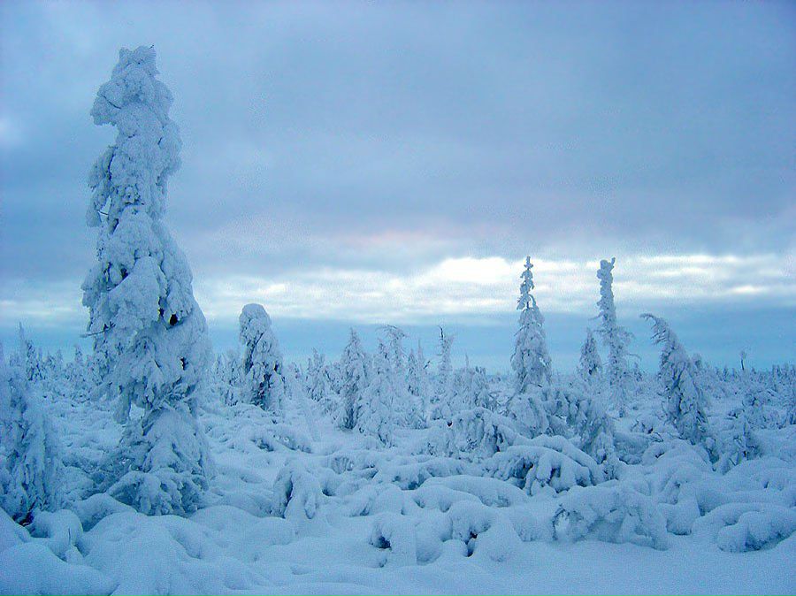 Ургэл Яковлев | Якутск