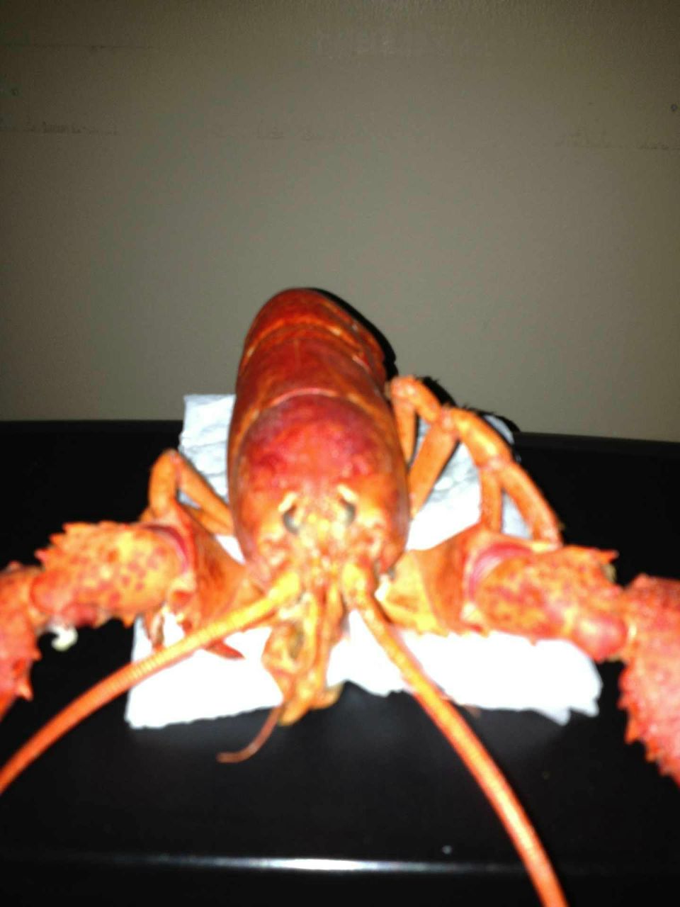 Olga Perekrest | Мелитополь