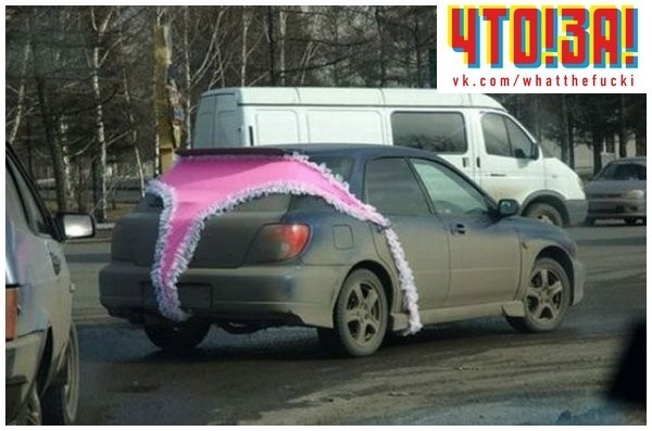 №42, Петр Седов, Севастополь №42, Петр Седов, Севастополь