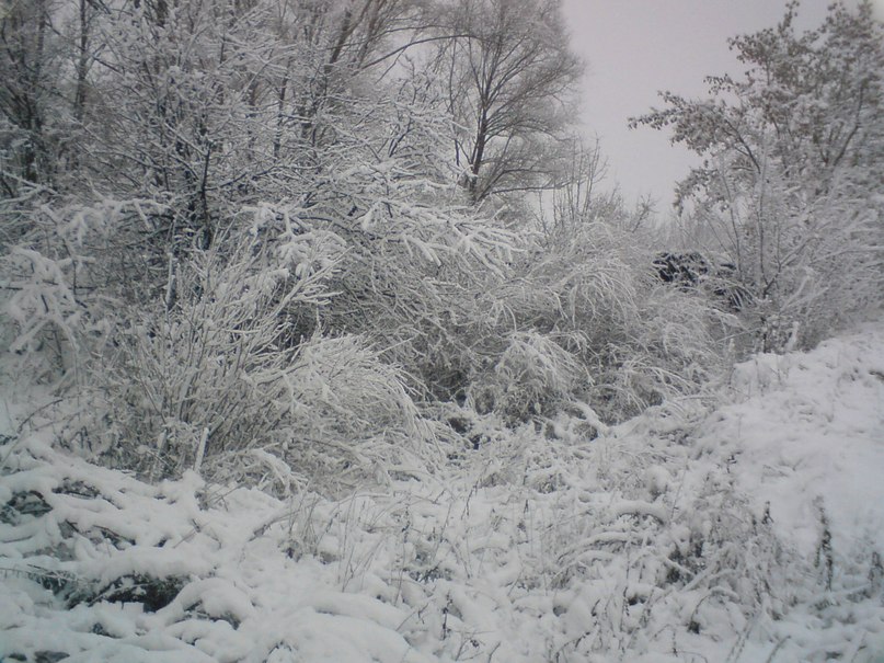 Ярослав Пилюгин | Москва