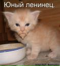 Фотография Яркое Солнышко