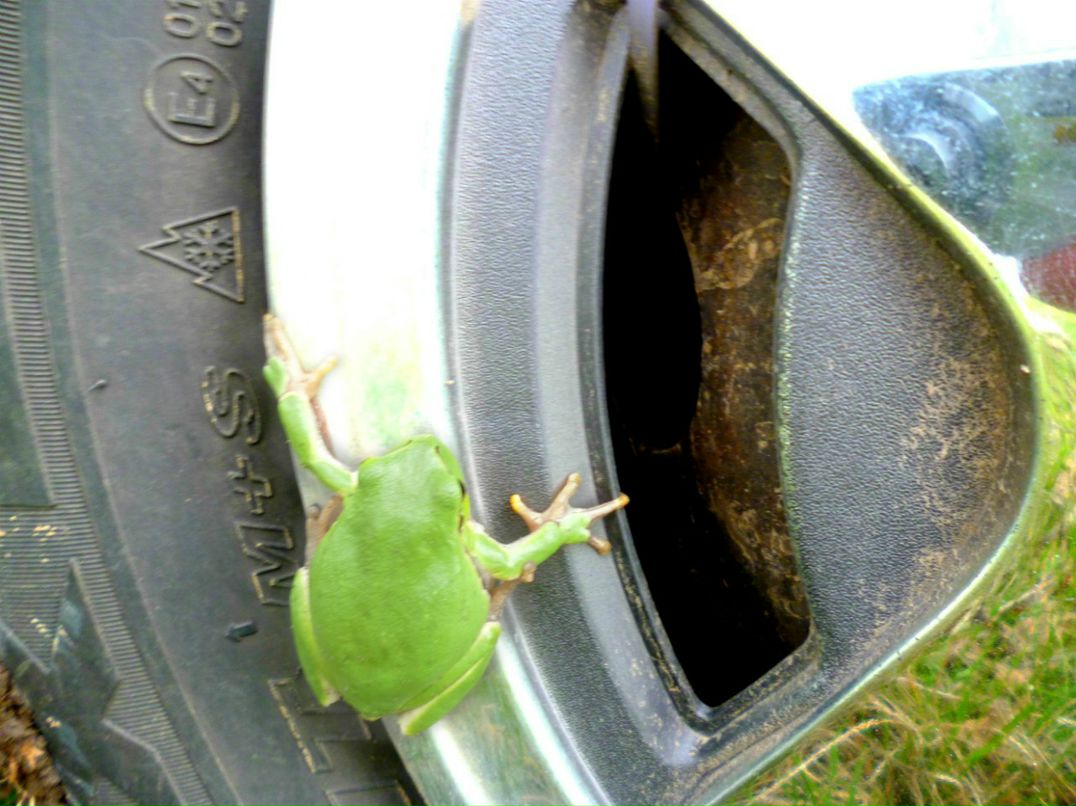 Андрюха Доброштан | Богуслав