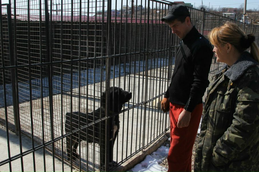 №66, Руслан Гордеев, Львов №66, Руслан Гордеев, Львов