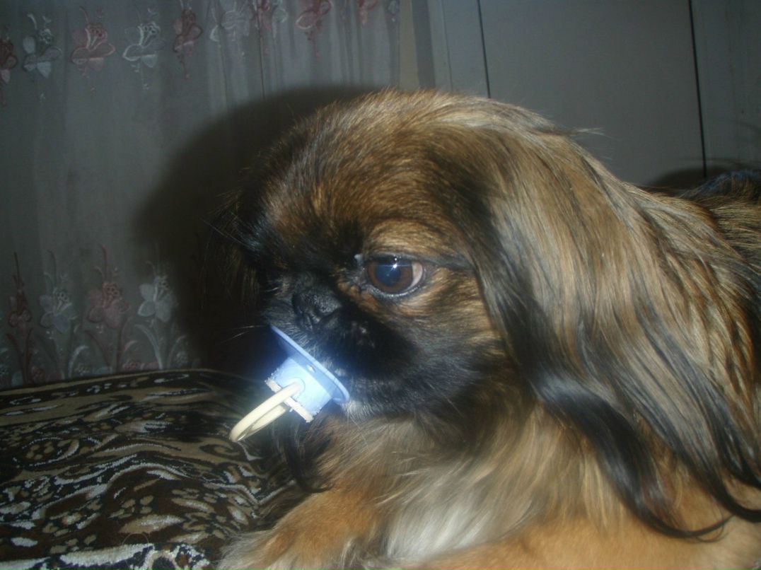 Галина Булачек | Магнитогорск