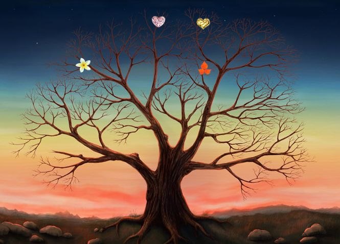 Оксана Богданова | Новосибирск