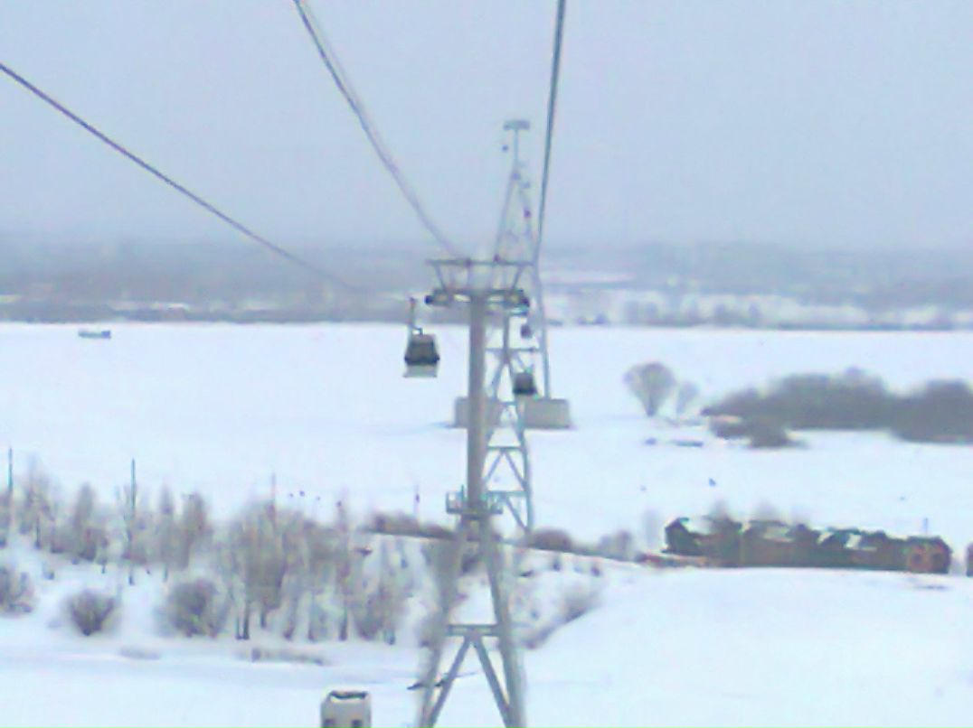 Евгения Белова | Бор