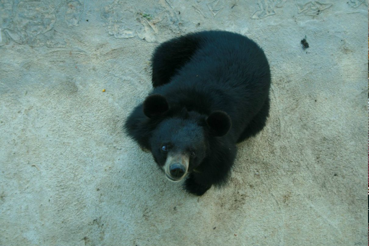 Тимур Бакулин | Москва