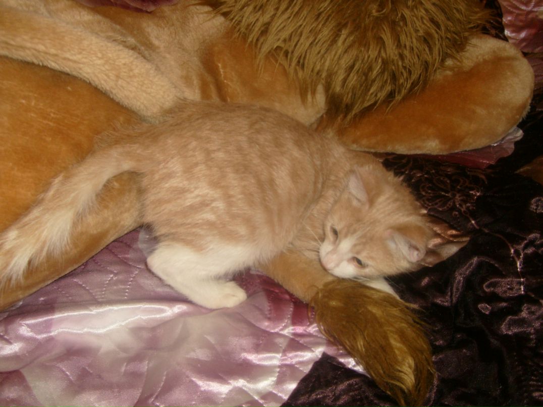 Валерия Люба | Великий Новгород