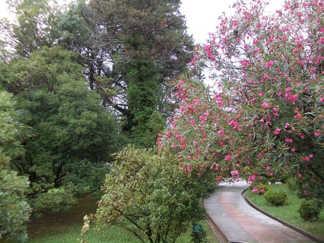 Дима Кондратьев | Пермь