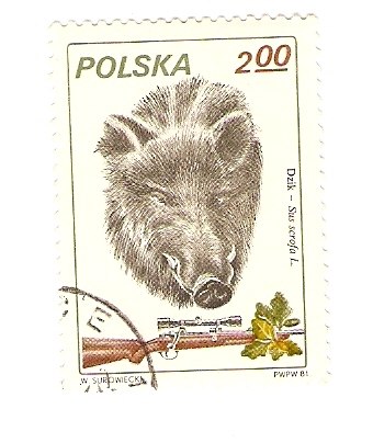 Жека Карпичев | Череповец