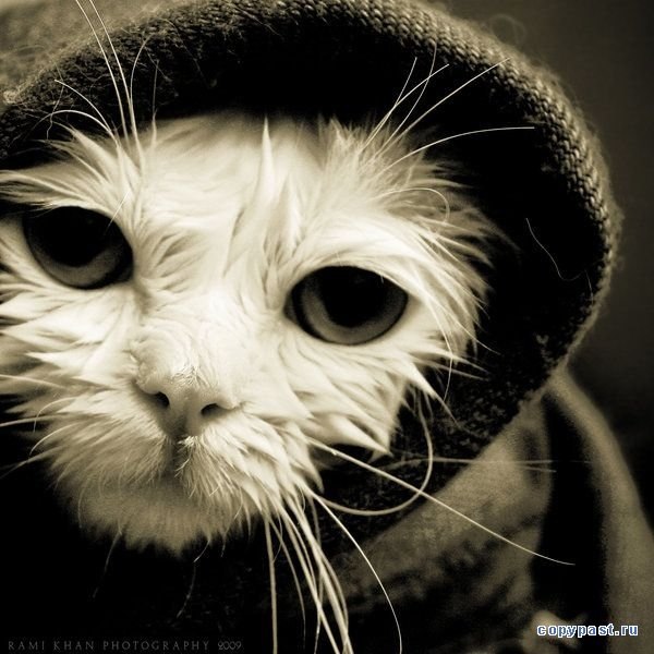 Юра Иванов MORA8 | Чебоксары