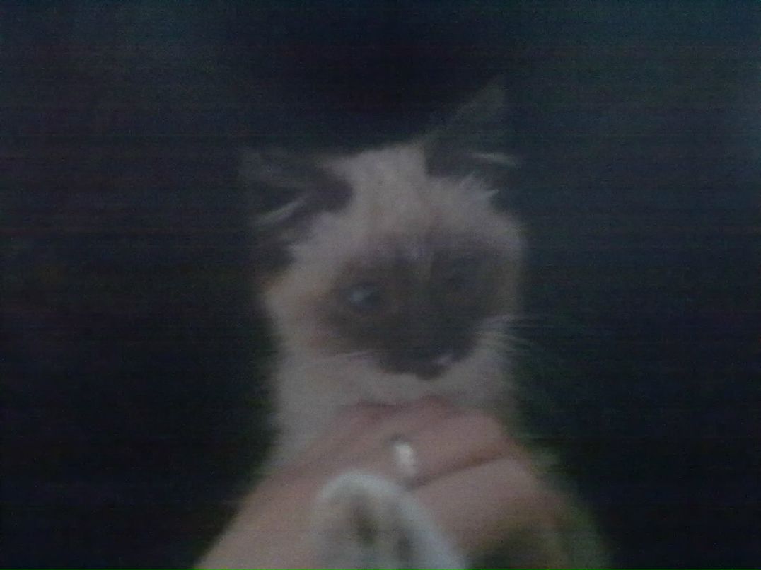 Мария Мелюх | Минск