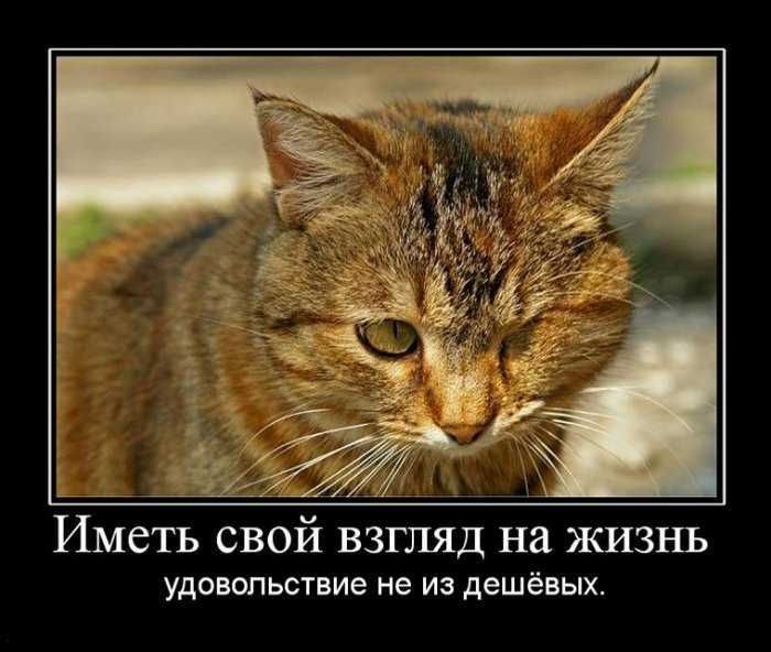 Alexander Schneider | Schwelm