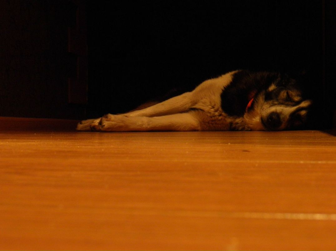 Лена Кулаковская | Киев