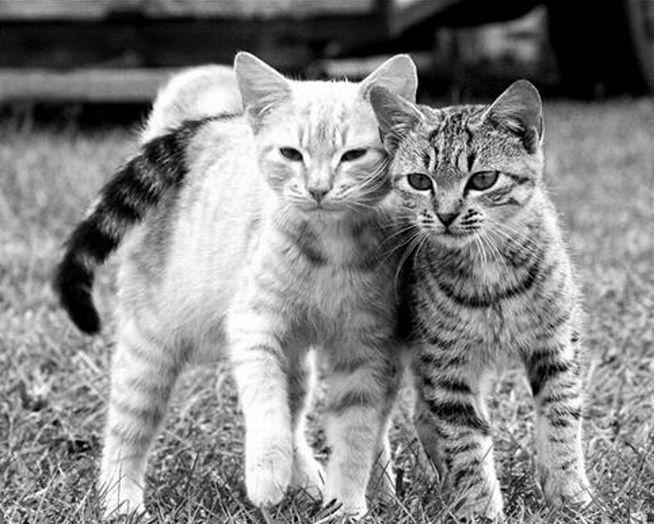 Caterina Grynushkina | Milano