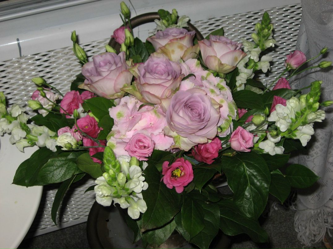 Ирина Стрелец | Санкт-Петербург