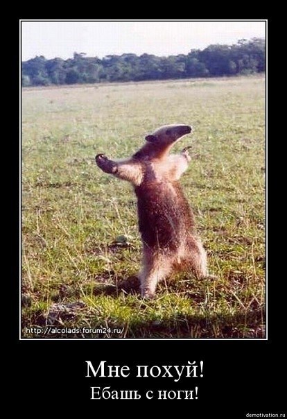 Юлия Моричева | 