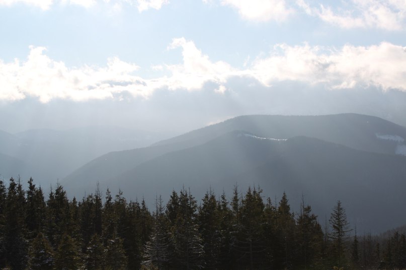 Тарас Гордійчук | 