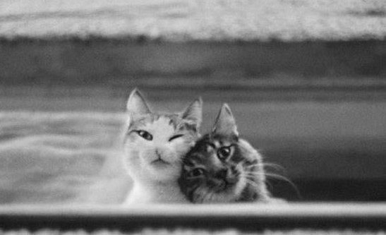 Люда Лойко | Ровно