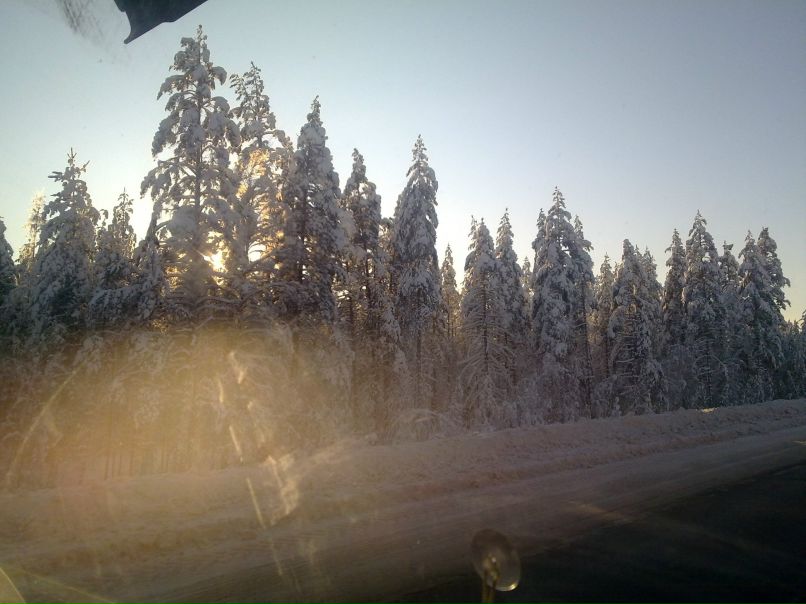 Дэн Соловей | Санкт-Петербург