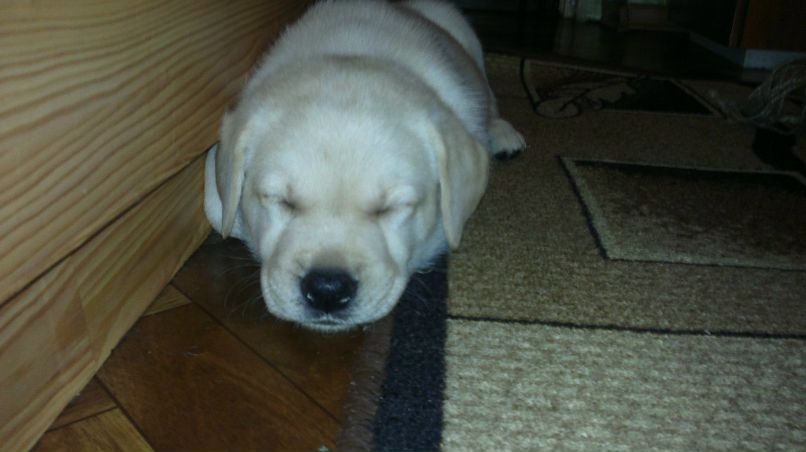 Юлия Язовских | Тихвин