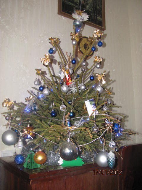 Виктория Рудюк | Хмельницкий