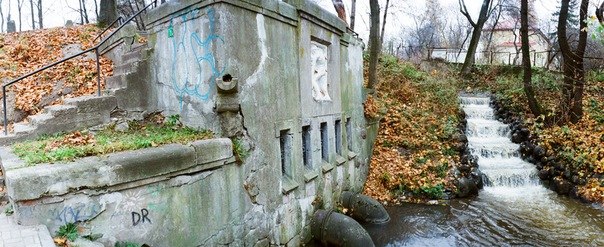 Юлия Мизеркевич | Светлогорск