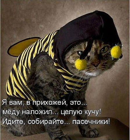 Тася Коростелева ღ Ⓣⓐⓣⓤⓢⓗⓘⓚღ | Подольск