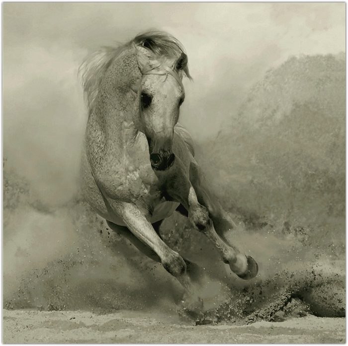 Alan Green | Москва