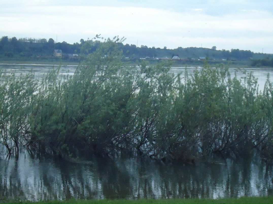 Алёна Васильева | Кемерово