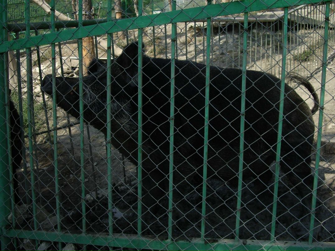 Алексей Поляков | Нижний Новгород