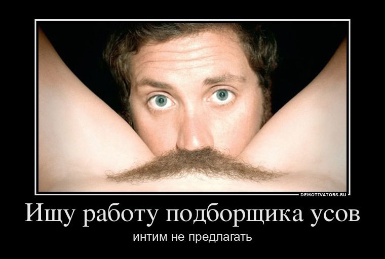 Alko Golik | Ростов-на-Дону