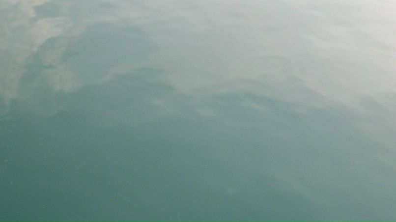 Светлана Челмакина | Москва