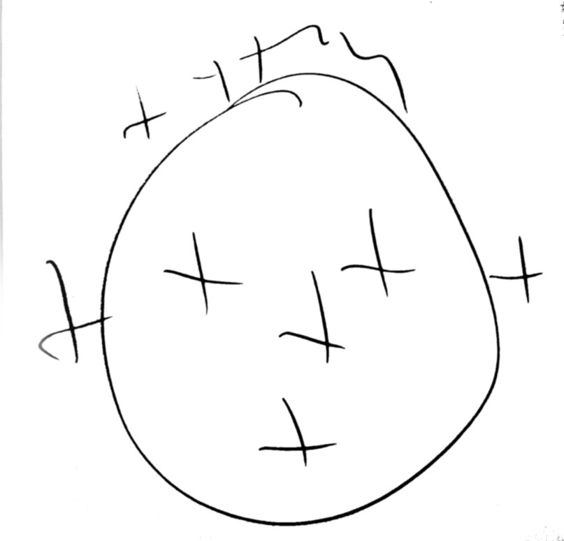 Аврора Крейсер | 