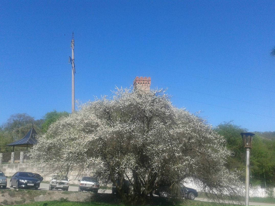 Ильнур Зиннатов | Казань