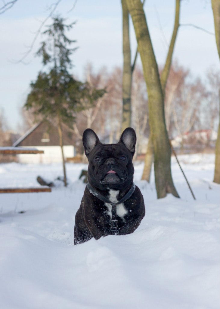 Оксана Яцків | Львов
