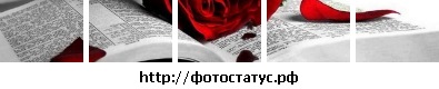 №107, Виктория Корнийчук, 29 лет, Винница №107, Виктория Корнийчук, 29 лет, Винница