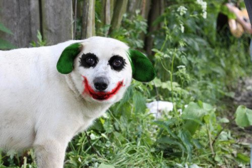 Кристина Губачек Эдуардовна | Южное