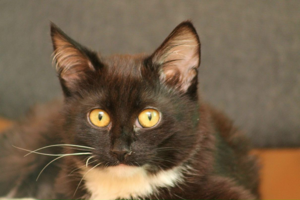 Мария Угрюмова | Санкт-Петербург